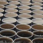 Is Caffeine Addictive? What Research and Experience Reveals